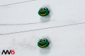 frog_arv1.png