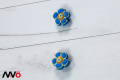 flower_nieb_arv1.png
