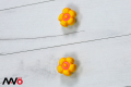 flower_zol_arv1.png